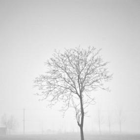 2013年情人节
