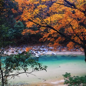 光雾山掠影