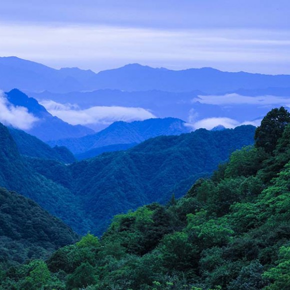 秦岭大美风光