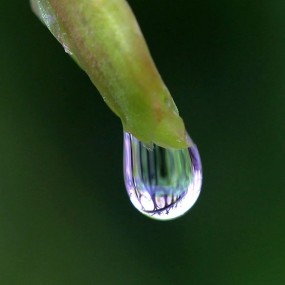 五一拍雨露