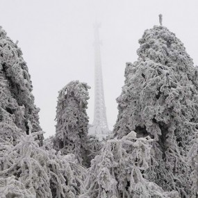 那一年雪灾