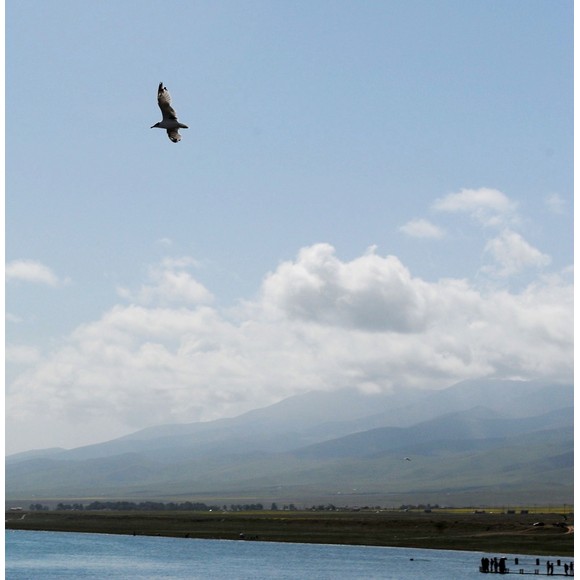 青海湖