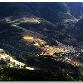 路上的风景