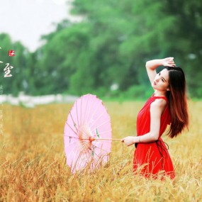 夏至