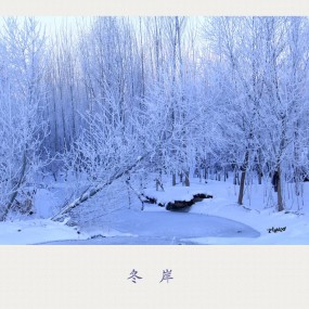 冬岸