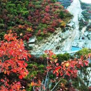 秦岭深秋