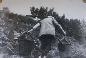 背影