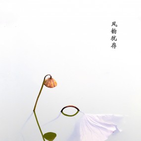 残荷之美