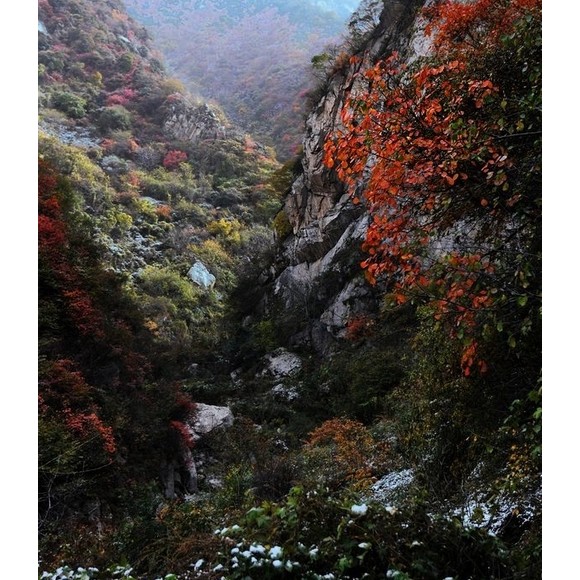 秋天里的秦岭