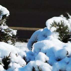 瑞雪照乾坤