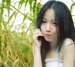夏日的清纯