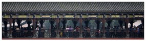杂片一组