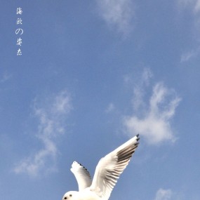海欧の姿态