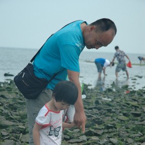 赶海