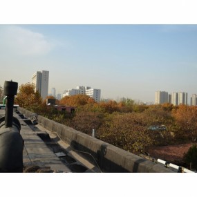 存在