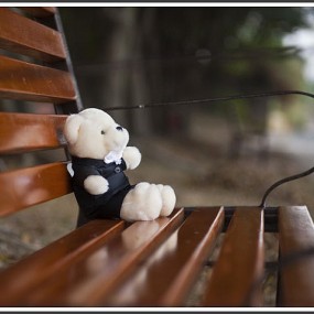 小熊旅游记