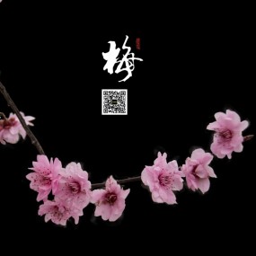 梅