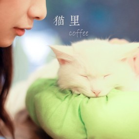 猫里