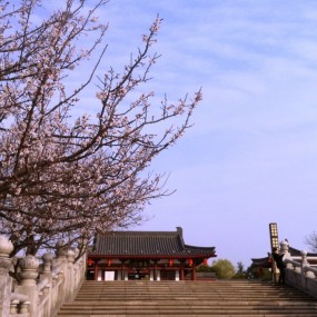 花开芙蓉园