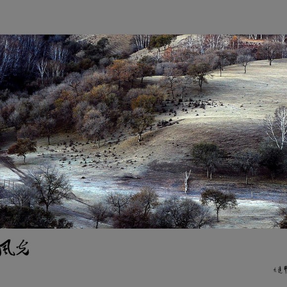 金秋坝上风光