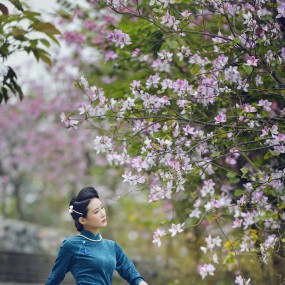 春如梦