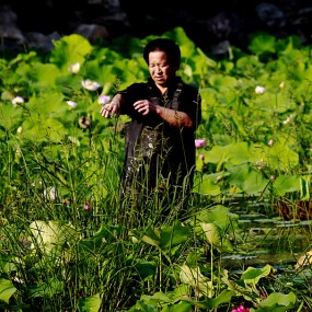 荷溏锄草