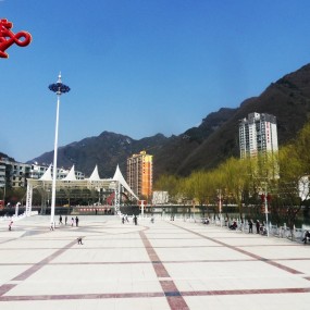 杨柳翠