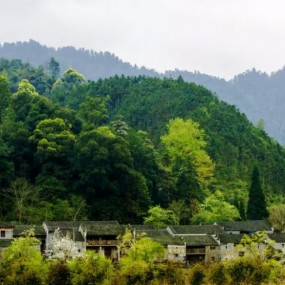 醉美乡村