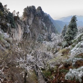 风雪骆驼峰