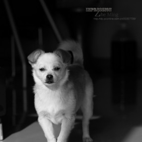 难忘那一夜