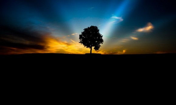 夕阳下的黄昏