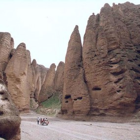 黃河石林風景