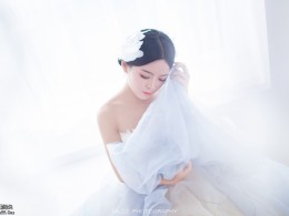 白天鹅