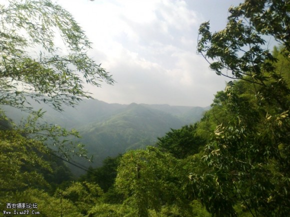 安吉山顶景色