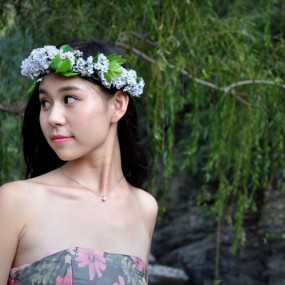 美女与石头
