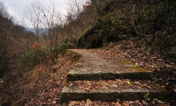 秦岭南的冬景