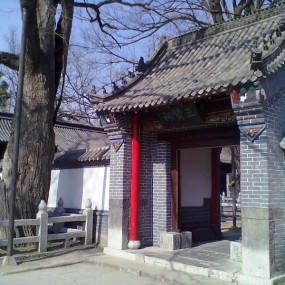 青州—回乡记