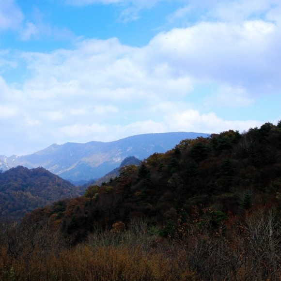 登山望秋