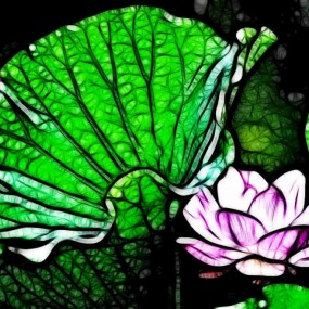 【荷韵】