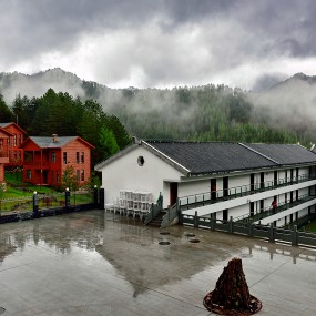 雨中小景