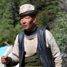 藏族情结