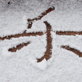 雪趣