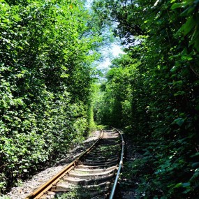 西安的小清新铁路仙境般的“铁路隧道”