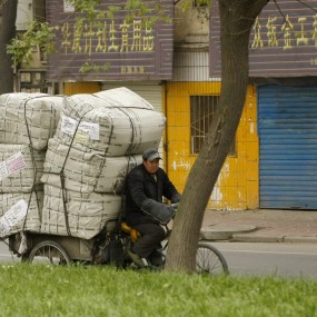 胡拍乱发