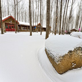 常宁宫踏雪