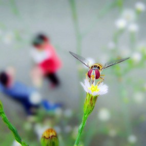 这个季节