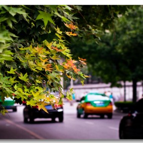东新街的清晨
