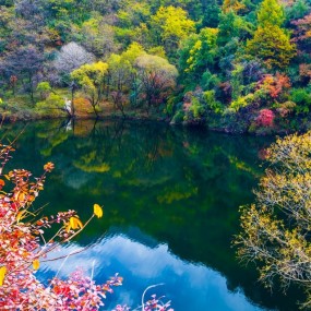 秋染翠华山