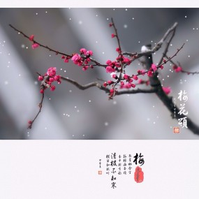 梅花颂