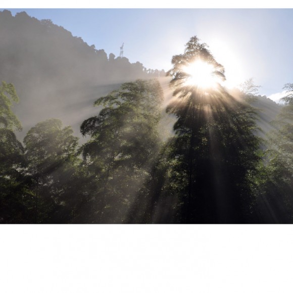 风景一组